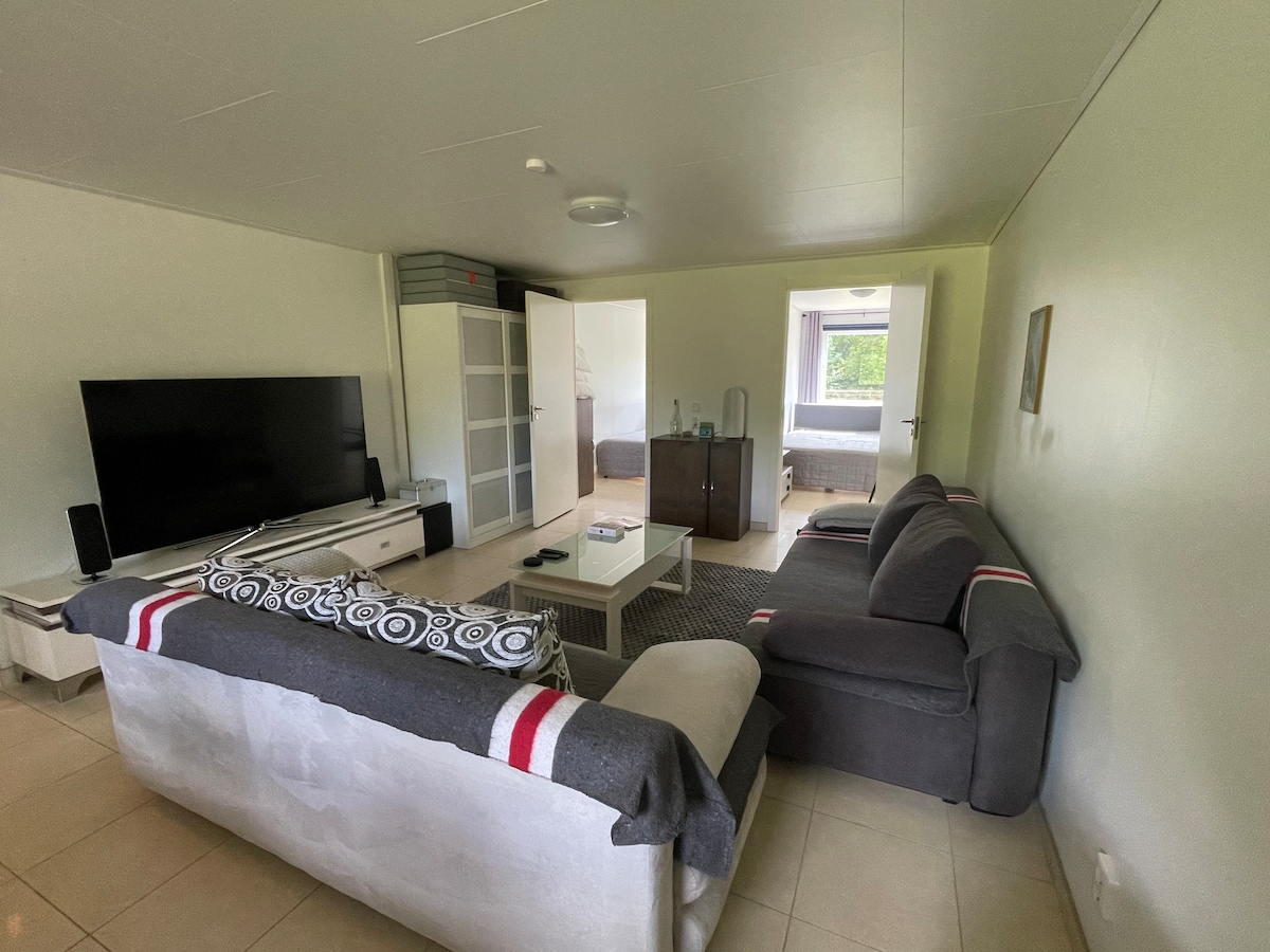 Всекидневна