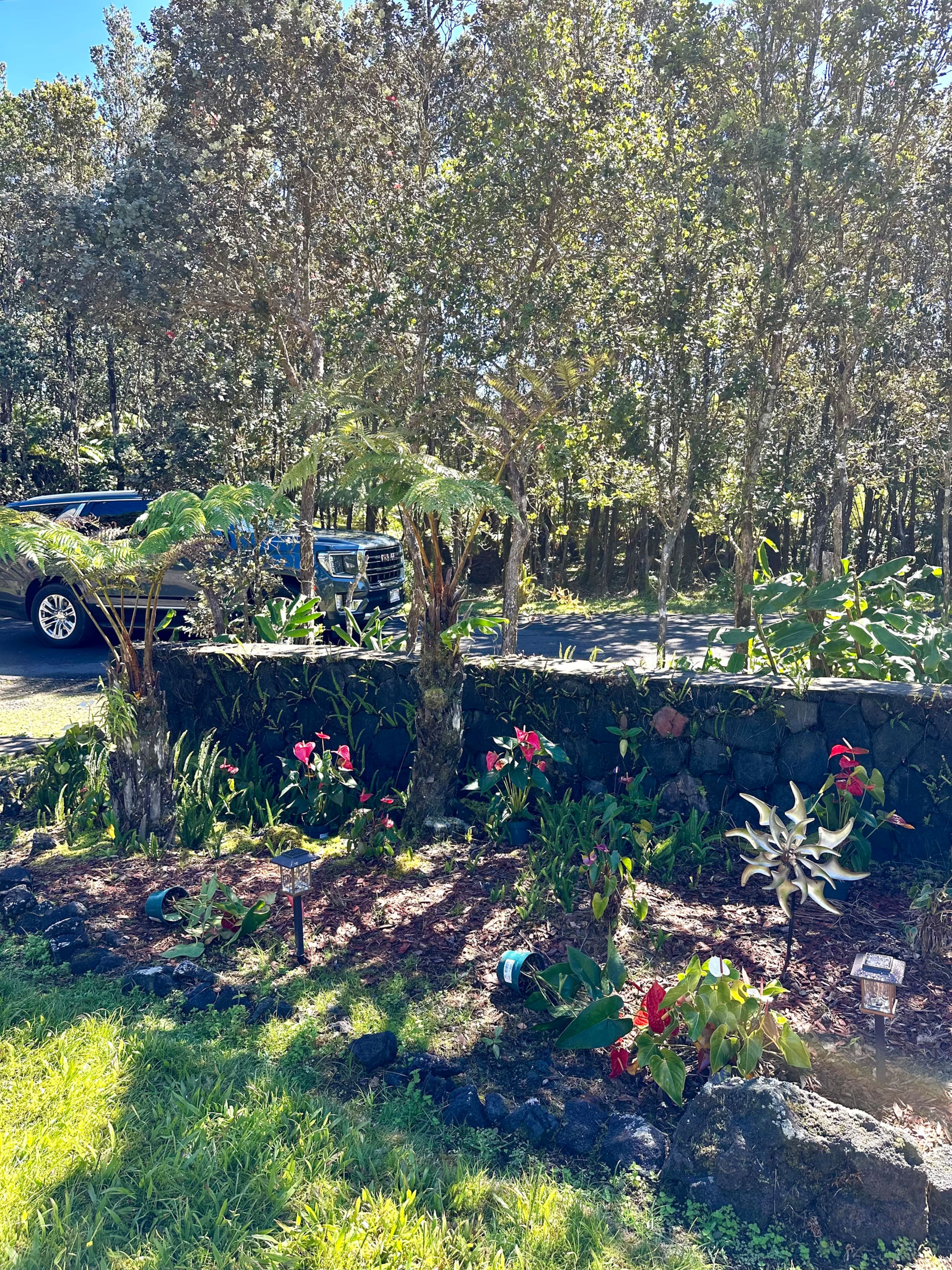 Home in Volcano · ★4.99 · 3 bedrooms · 4 beds · 2 baths - Image 70