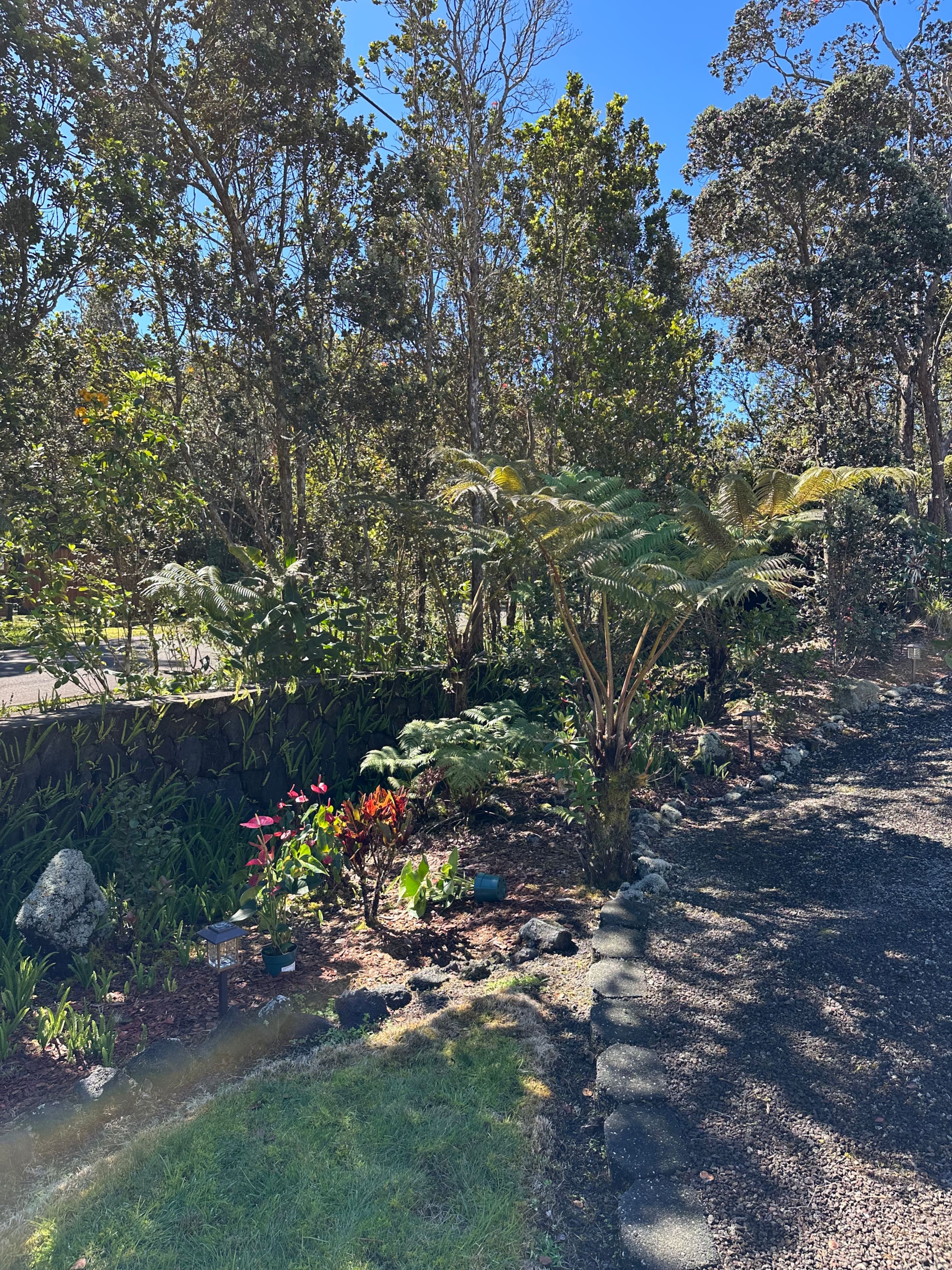 Home in Volcano · ★4.99 · 3 bedrooms · 4 beds · 2 baths - Image 71
