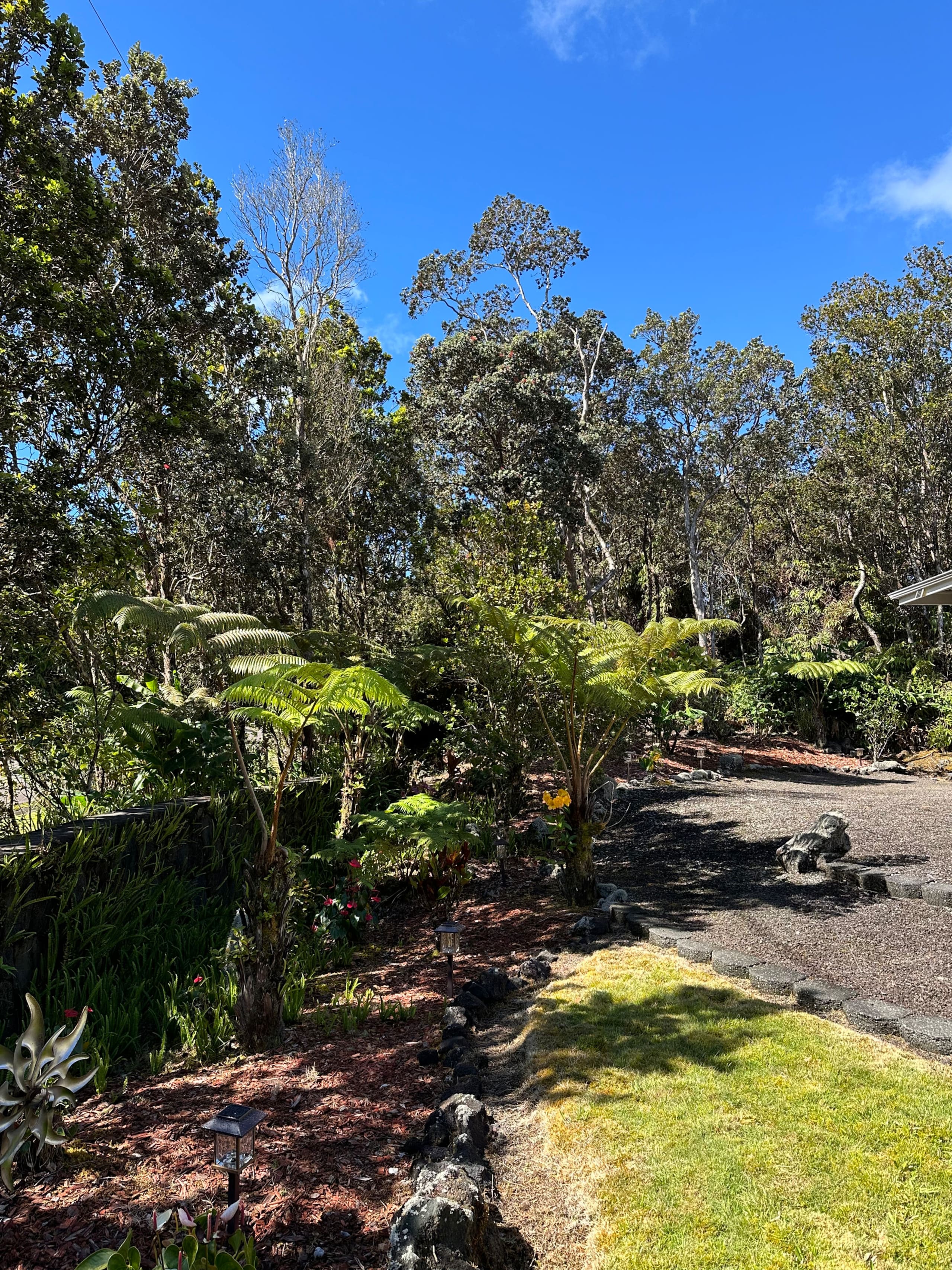 Home in Volcano · ★4.99 · 3 bedrooms · 4 beds · 2 baths - Image 84