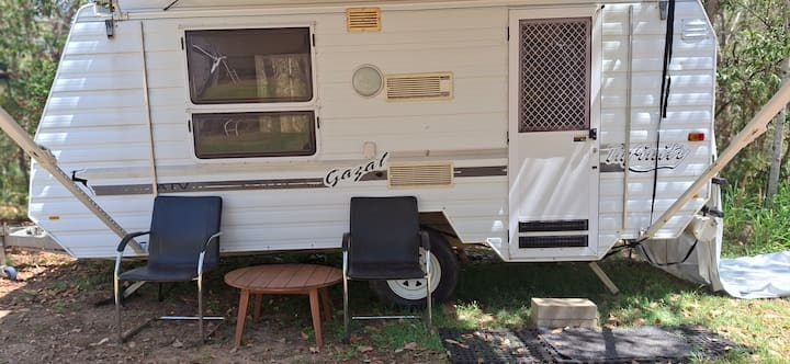 Rustic Sunflower 4 : Caravan - Ipswich