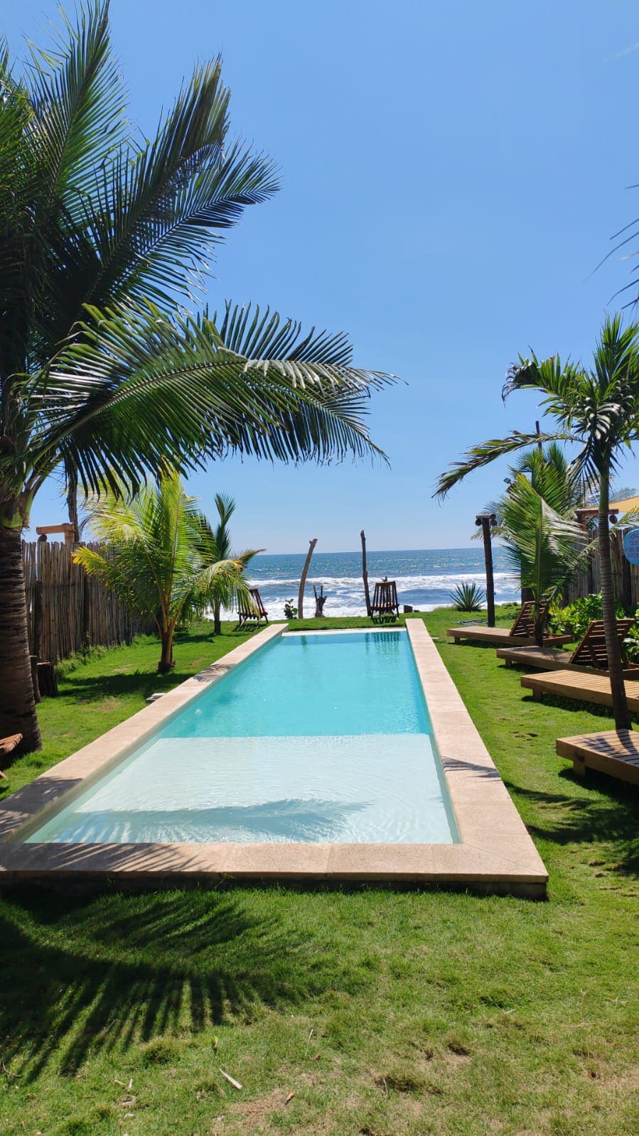 A serene outdoor space is featured, showcasing a long swimming pool bordered by vibrant green grass and palm trees. The pool's clear water reflects the blue sky, while the ocean can be seen in the background, enhancing the tranquil ambiance.