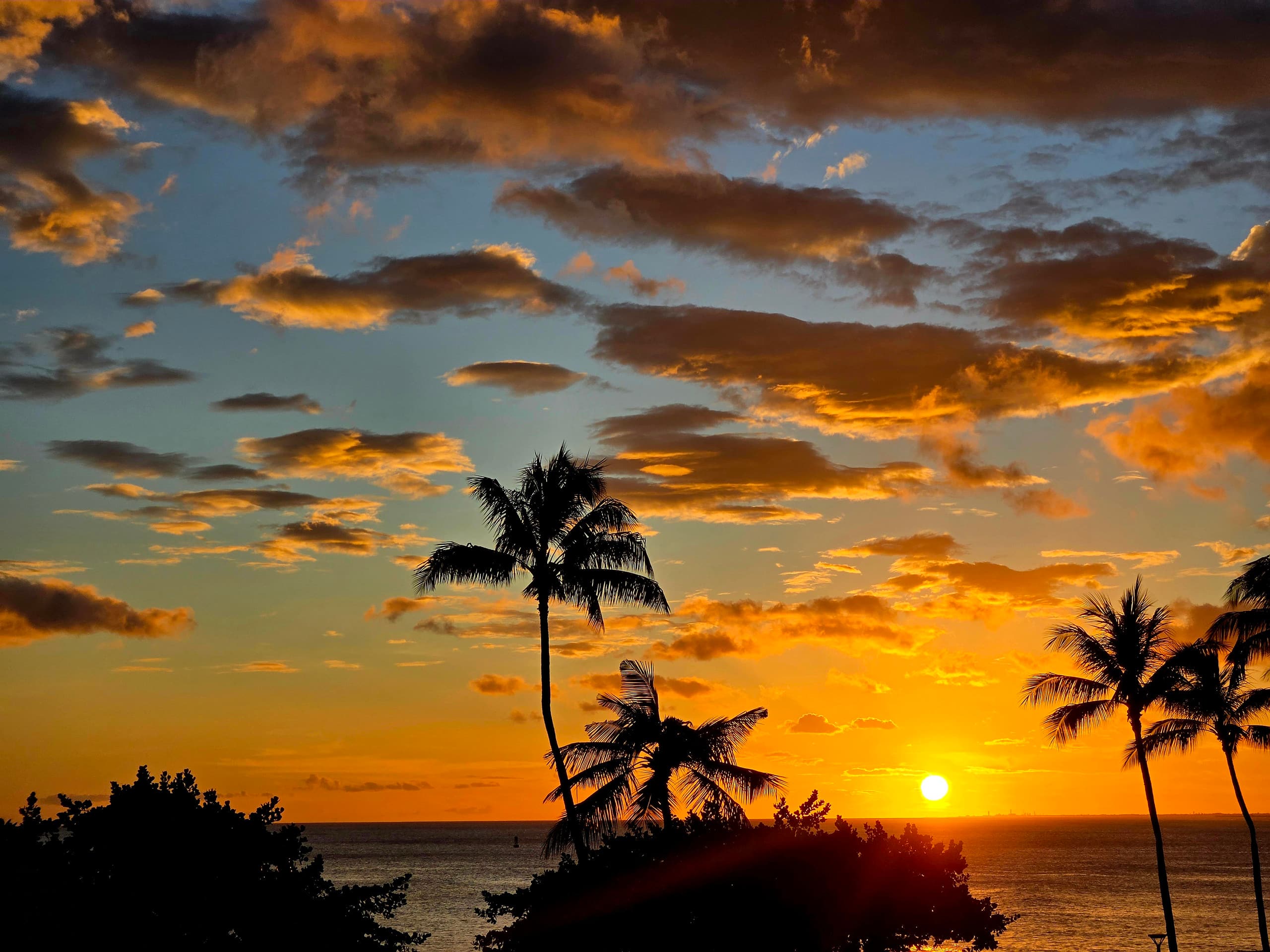 ~1009 OceanviewTurtle Retreat Min2 Waikiki Beach! - Image 46