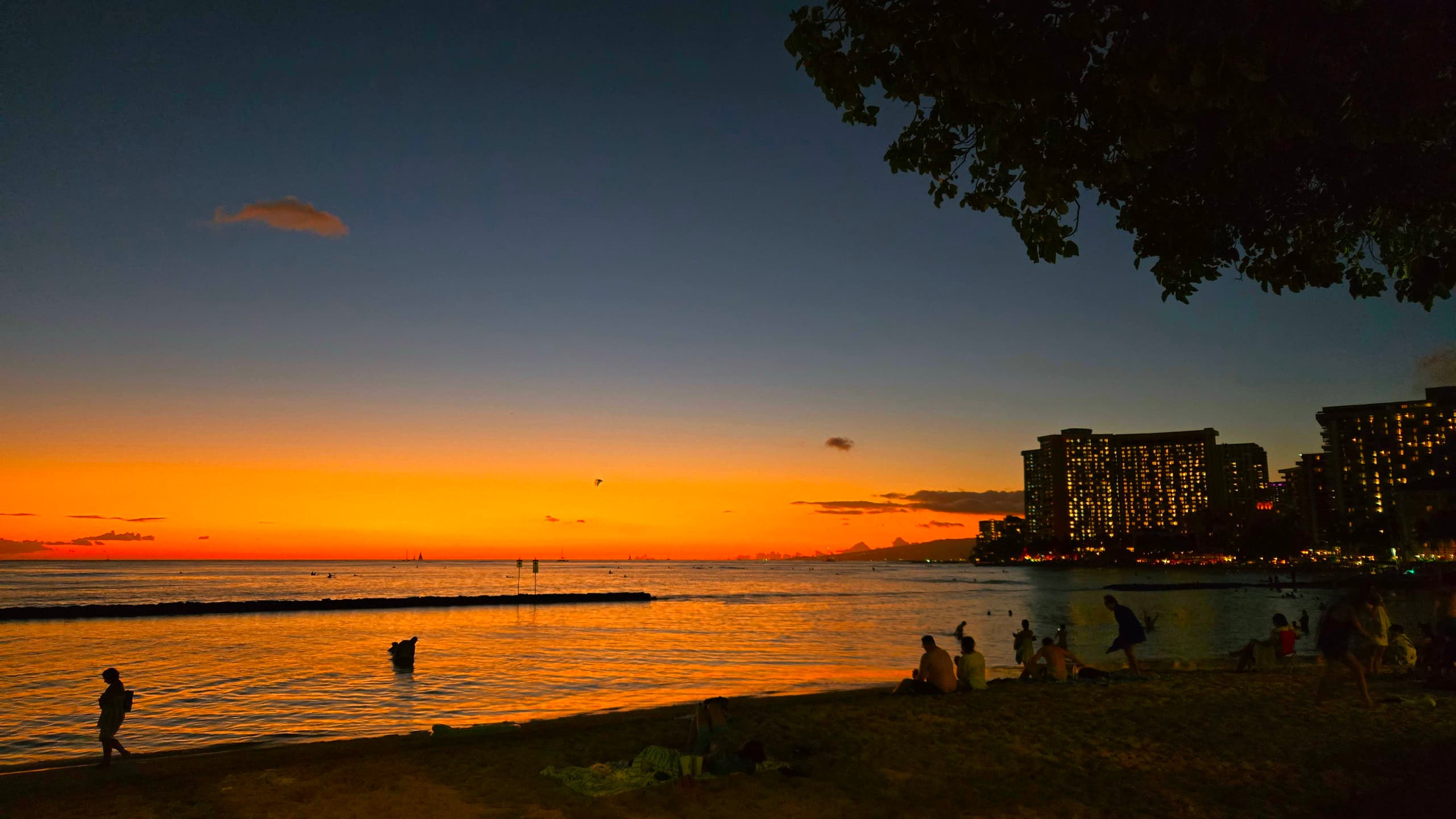 ~1009 OceanviewTurtle Retreat Min2 Waikiki Beach! - Image 39