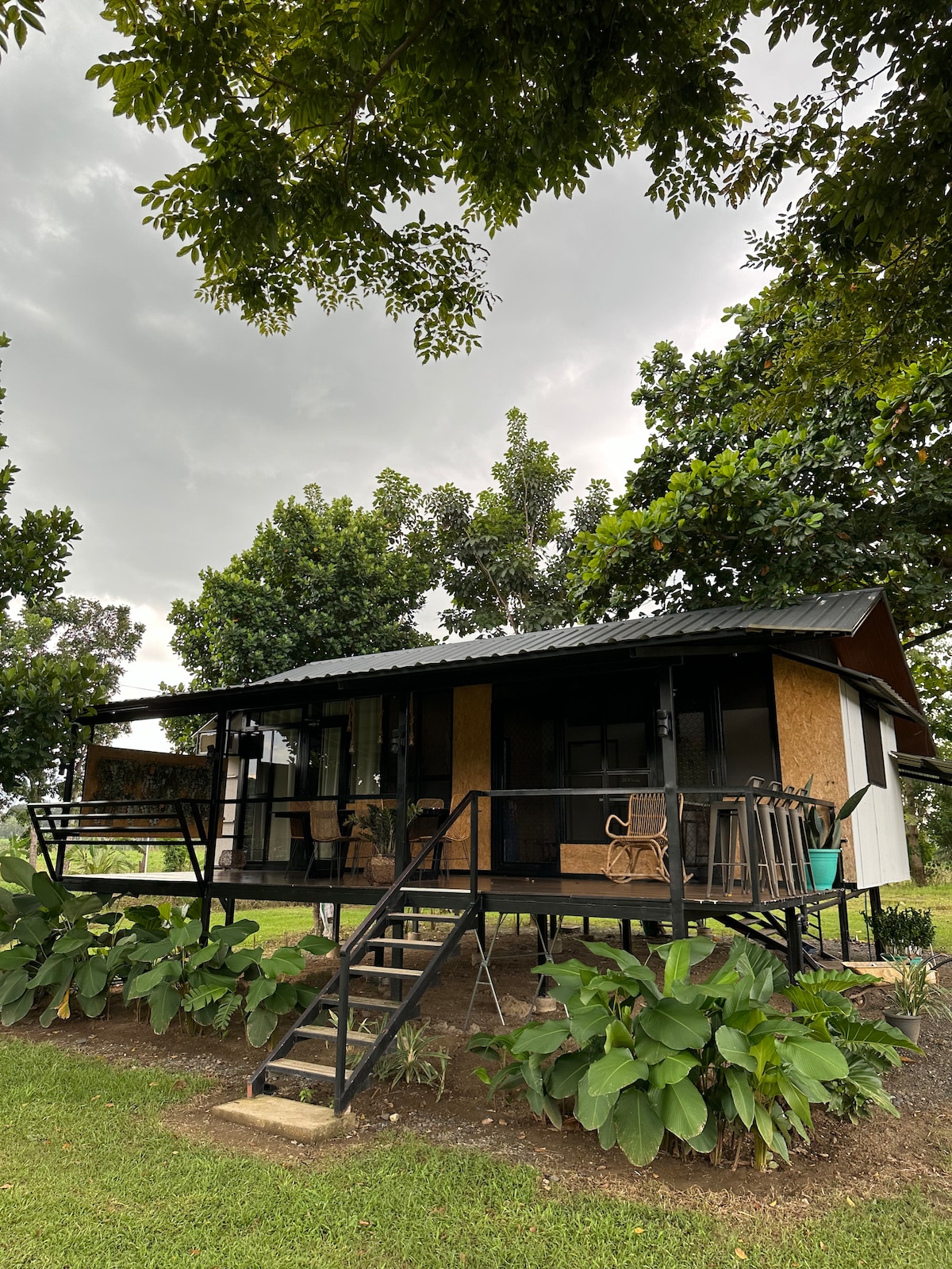 A cozy house is situated amidst lush greenery, featuring a metal roof and several large windows. A staircase leads to a porch with seating, surrounded by tropical plants and trees. The serene setting conveys a connection to nature.
