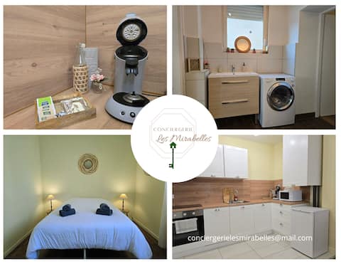 Apartment T2 cocooning