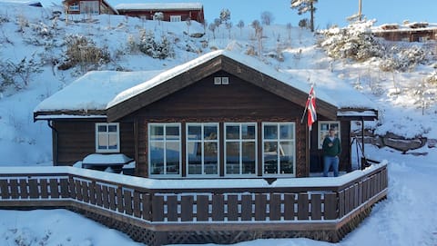 Cozy mountain cabin: Skiing, hot tub & views