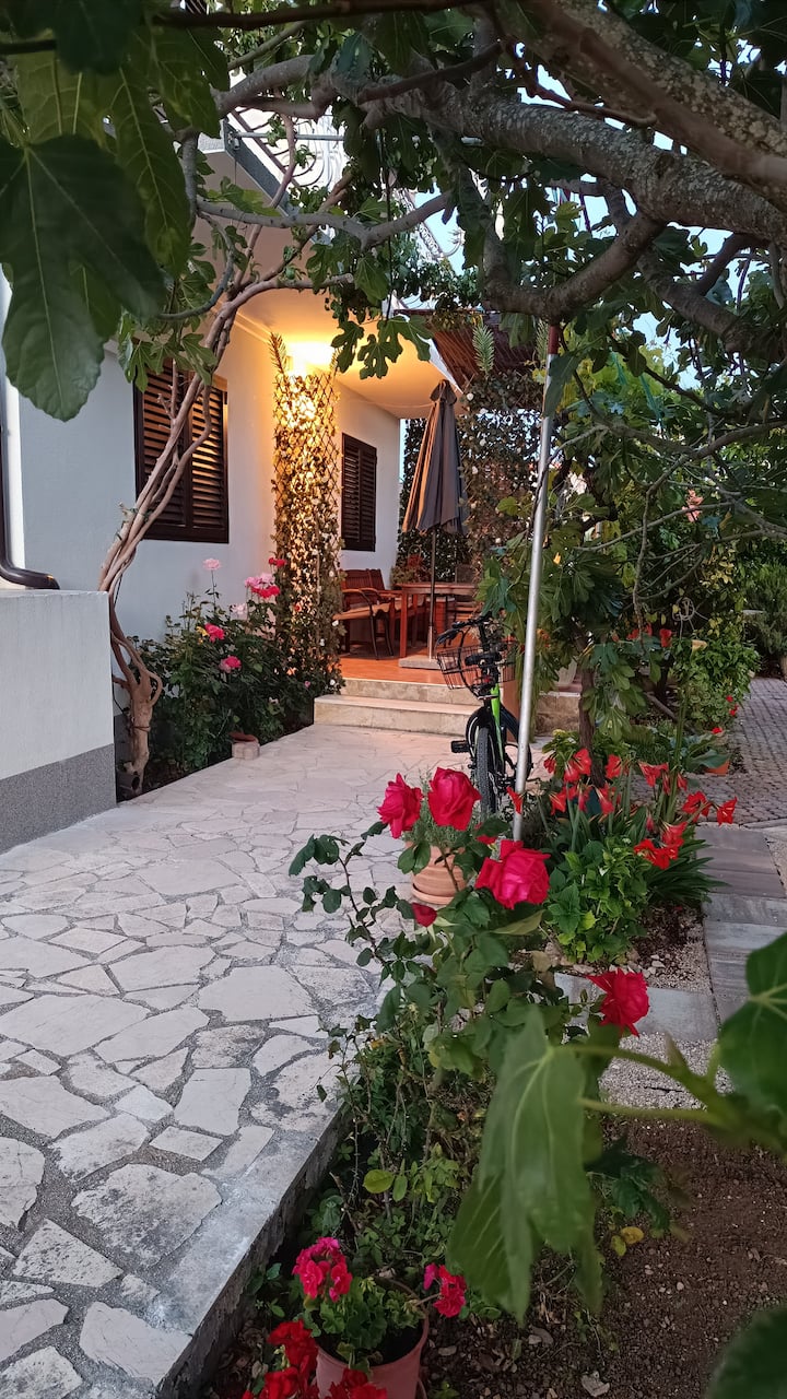 Apartman "Marija 1" - Murter