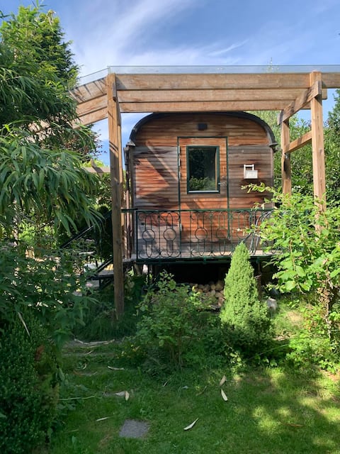 100 year old Magical circuswagon