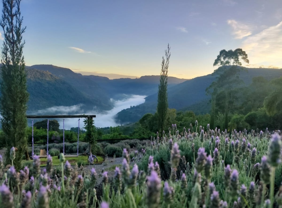 Lush lavender plants in the foreground lead to a scenic view of the misty river and surrounding hills. The soft morning light casts a tranquil ambiance over the landscape, while a swing set appears on the edge of the lavender field, inviting relaxation.