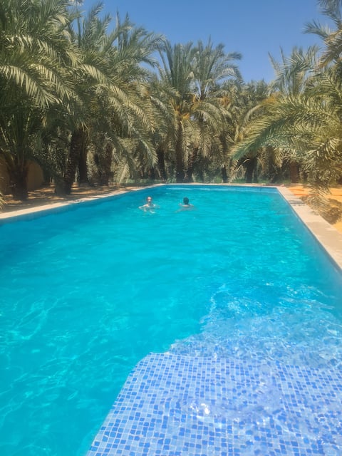 Swimming pool ensuite family room quiet palm grove