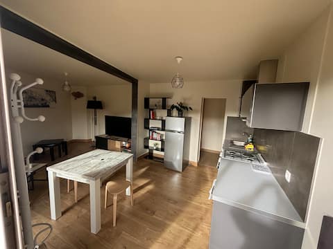 Joli appartement Eybens