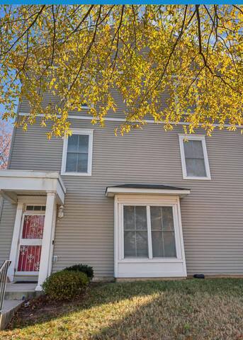 Dream Catcher gallery image 2