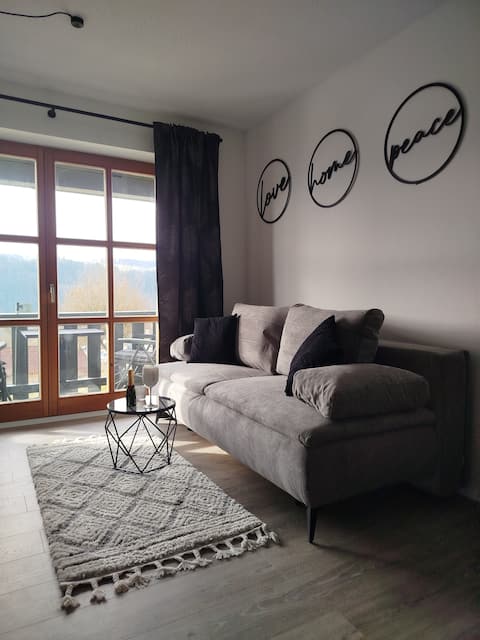 Unique view of the Danube - apartment with balcony