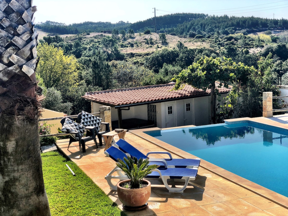 A serene outdoor space features a sparkling pool surrounded by sun loungers. A spacious patio is complemented by a tropical plant in a terracotta pot. In the background, a cozy pool house and lush, green hills enhance the tranquility of the setting.