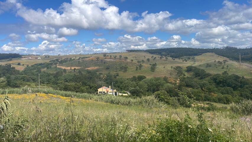 Private Villa with Pool & Jacuzzi, Sauna, BBQ gallery image 3