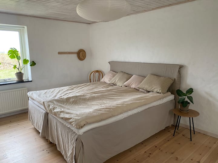 Chambre 5