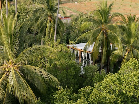 Glass Treehouse · 1 min to Surf · IceBath & Sauna