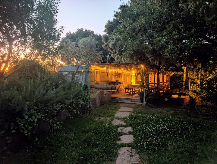Cabanon Cosy Au Cœur Des Vignes - Sorgues
