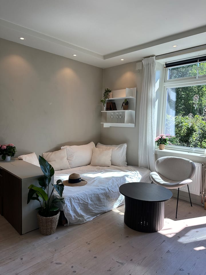 غرفة المعيشة