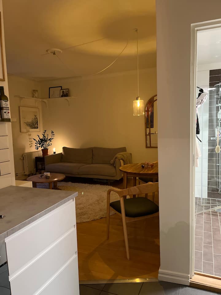 In The Heart Of Sofo, Södermalm - Skanstull - Stockholm