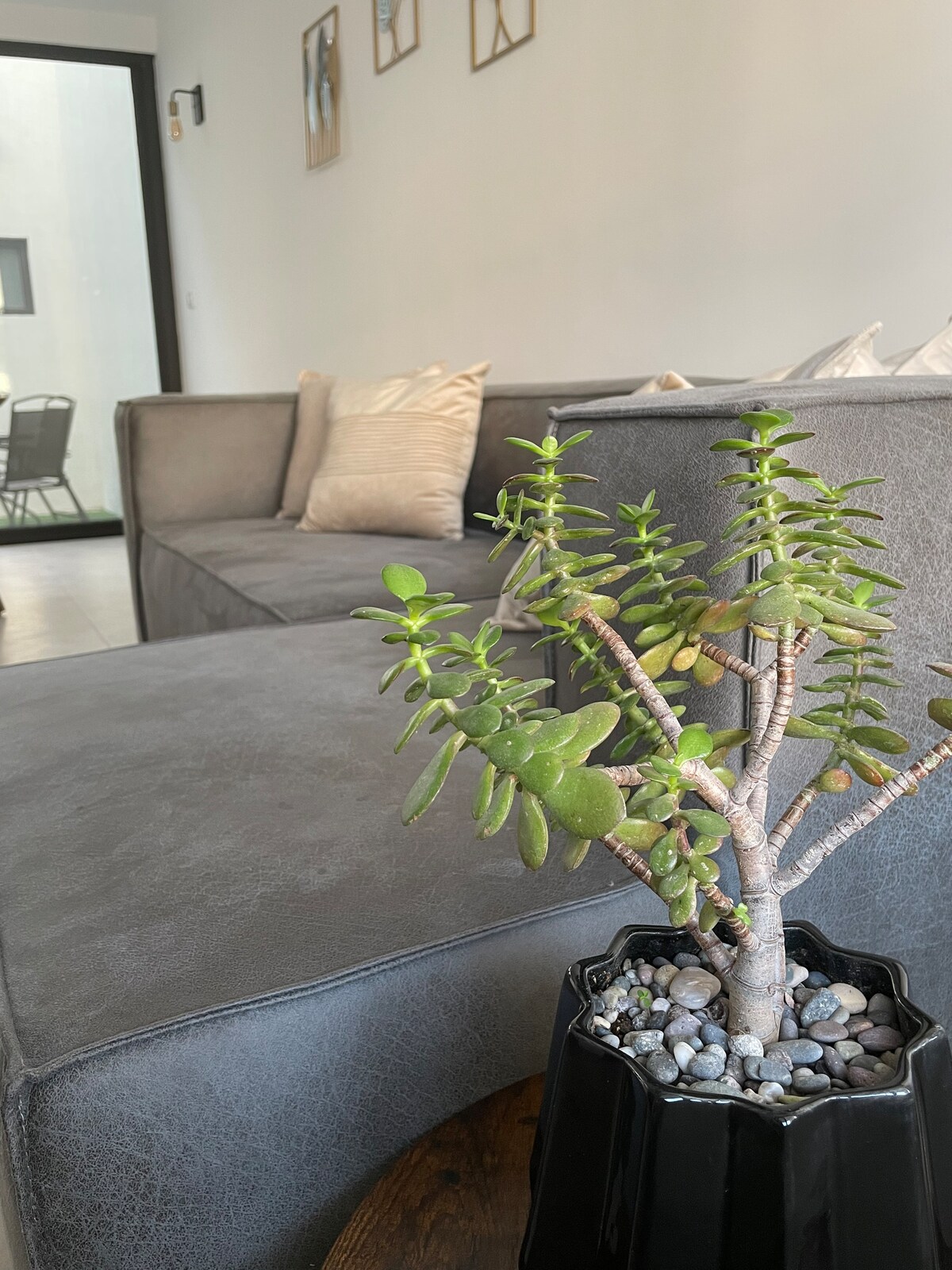 Airbnb con mejor rendimiento: Oasis in León en León De Los Aldama