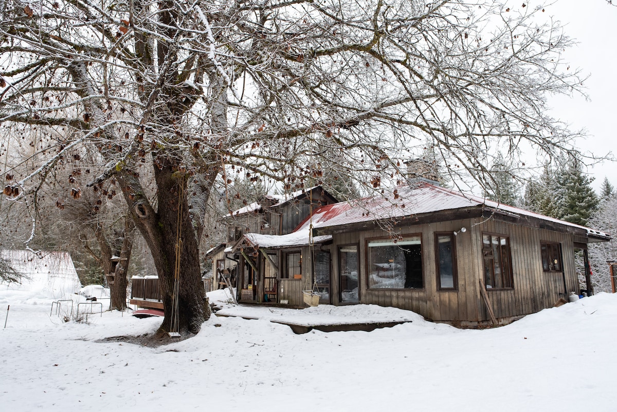A charming heritage farmhouse is nestled among bare trees with branches draped in snow. The exterior showcases wooden panels and a sloped roof, along with a spacious front porch. A tranquil winter landscape unfolds, featuring a snowfall-covered yard with a trampoline visible in the distance.