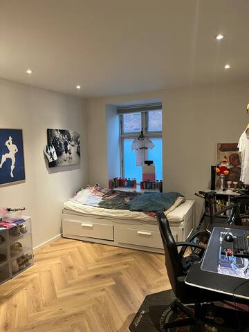 Large & Stylish Ground-Floor Flat in Østerbro gallery image 5