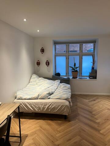 Large & Stylish Ground-Floor Flat in Østerbro gallery image 4