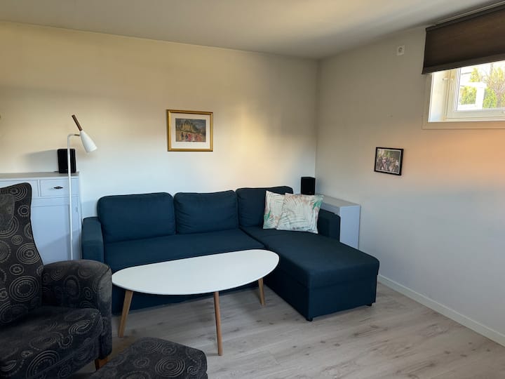 地下室电视房，沙发床