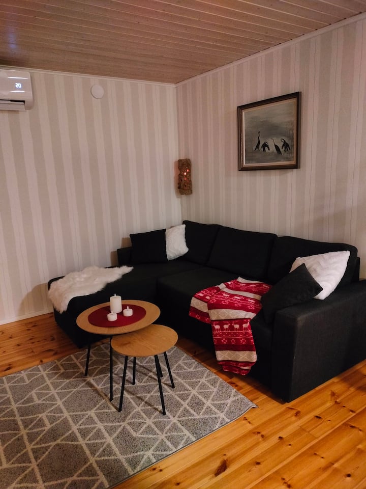 The House Of Christmas With Sauna - Rovaniemi