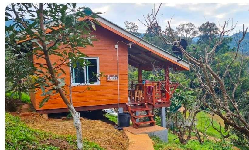 A wooden cabin is situated on elevated ground, framed by trees and lush greenery. Steps lead up to a porch with a small table and chairs, inviting relaxation while enjoying nature. A large window allows for ample natural light.