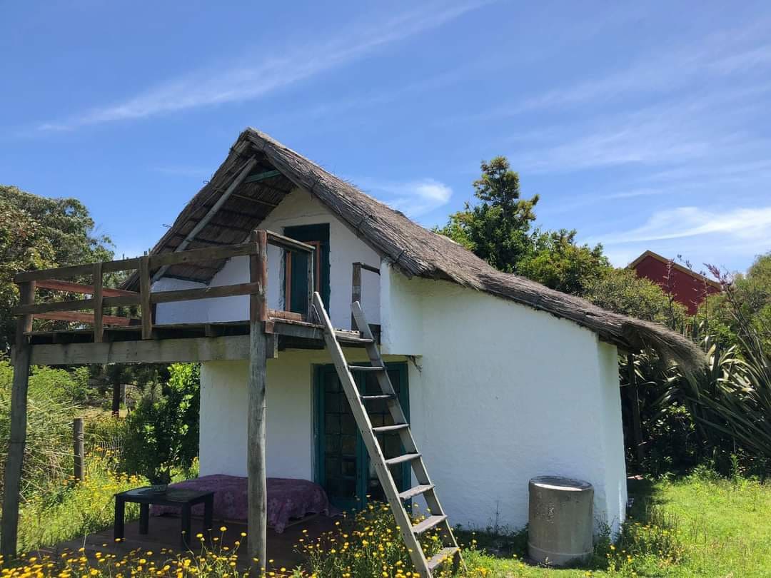 A charming white cottage with a thatched roof is set against a clear blue sky. A wooden ladder leads to an upper deck area, surrounded by greenery and wildflowers, enhancing a serene rural atmosphere.