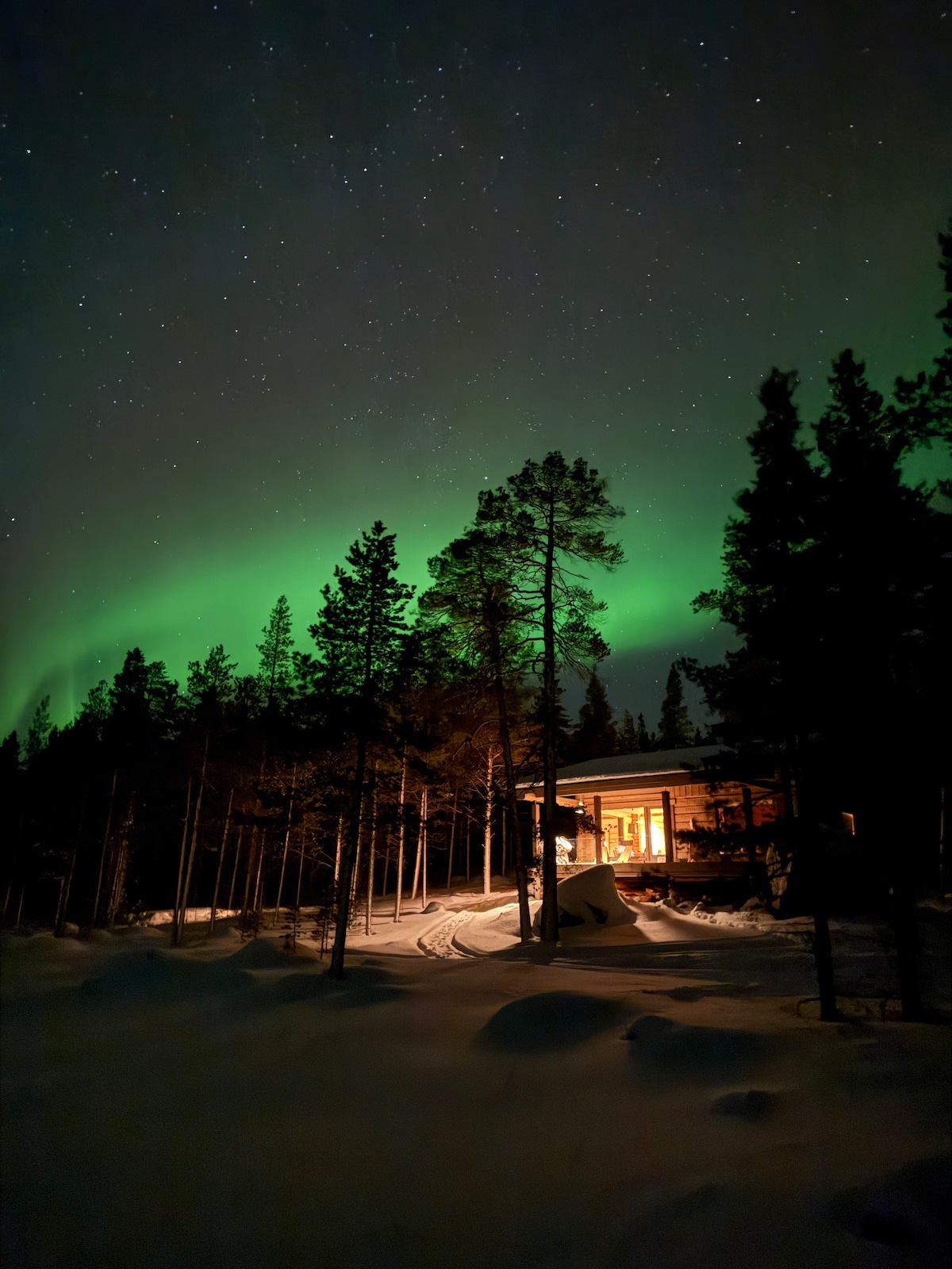 The villa is illuminated against a backdrop of the northern lights, with vibrant green hues in the night sky. Tall trees surround the structure, and snow-covered ground reflects the soft glow from the cabin. Stars are visible, creating a serene, secluded atmosphere.