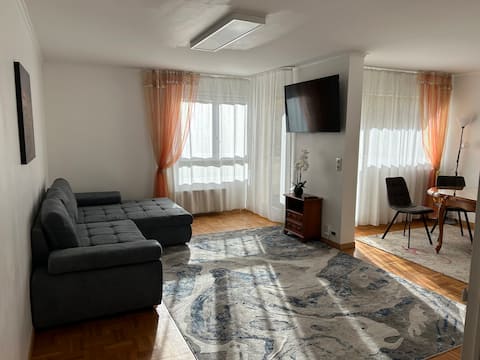 Apartment near Paris and Disneyland