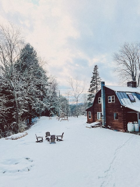 Rustic Chic Cabin | 25 Mins to Okemo