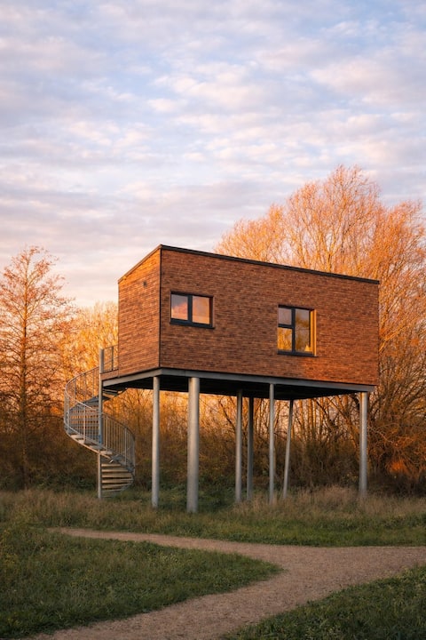 Treehouse lodge at the level of the treetops