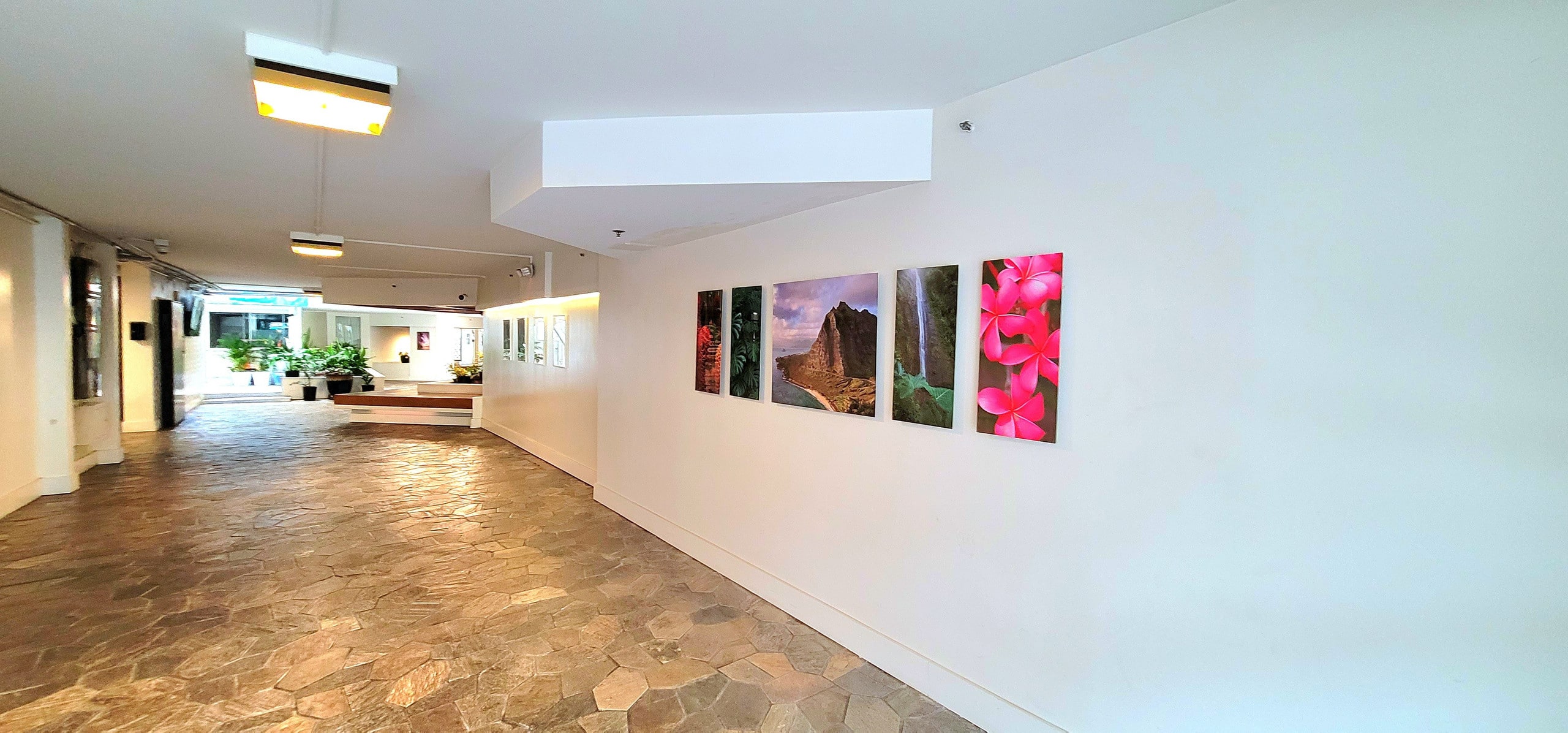 Condo in Honolulu · ★4.82 · 1 bedroom · 1 bed · 1 bath - Image 29
