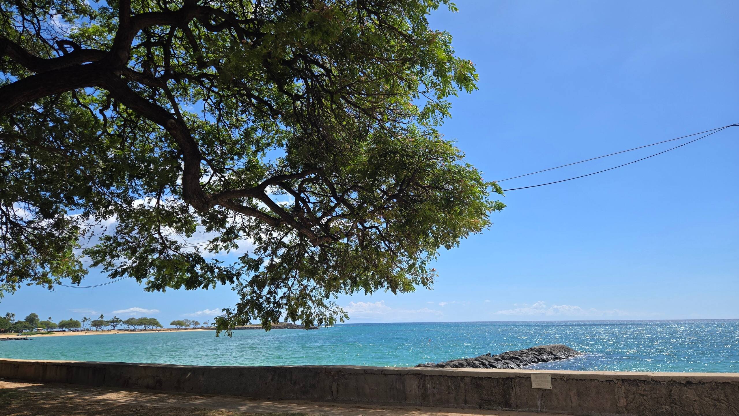 Condo in Honolulu · ★4.82 · 1 bedroom · 1 bed · 1 bath - Image 43