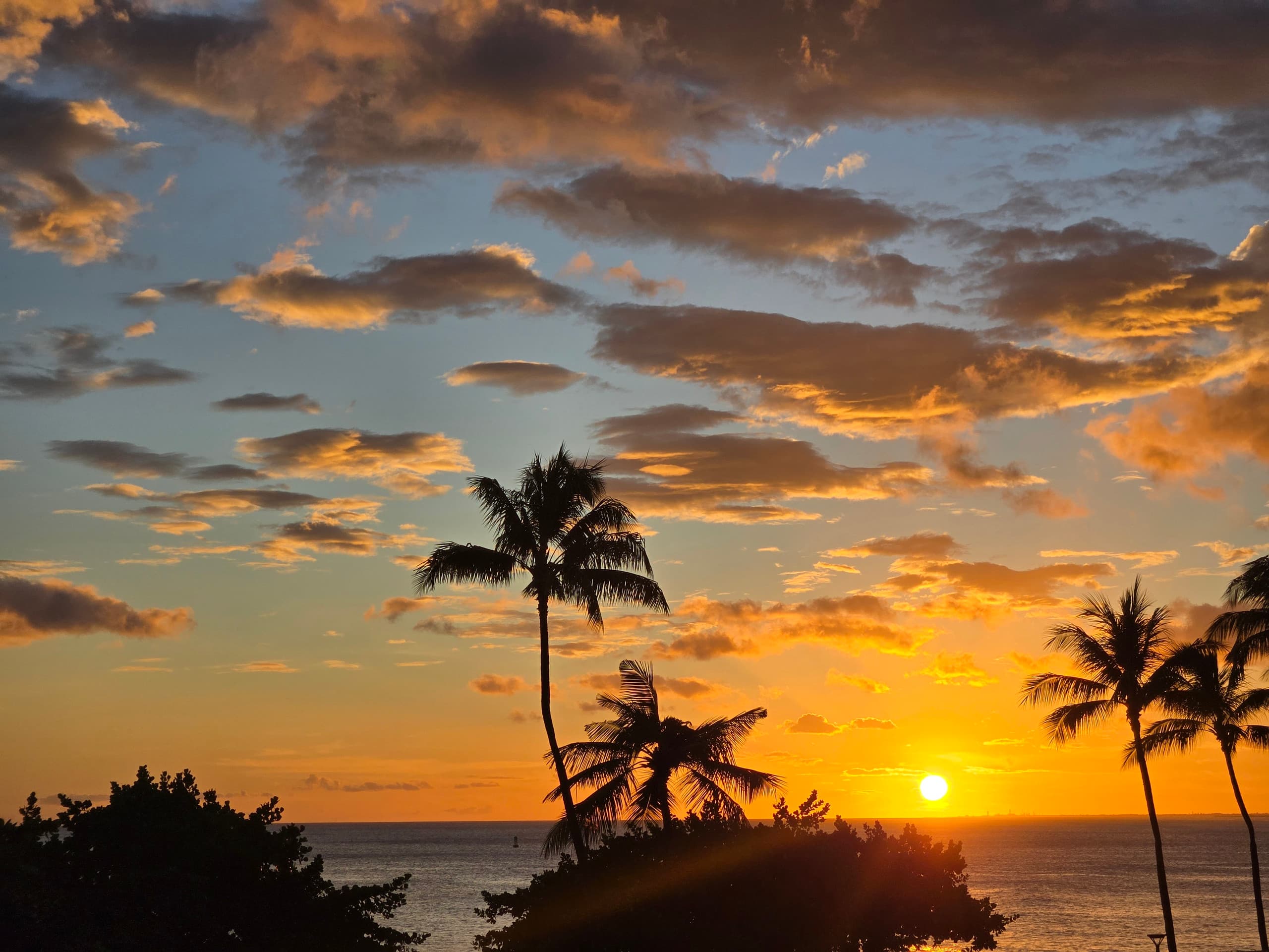 Condo in Honolulu · ★4.82 · 1 bedroom · 1 bed · 1 bath - Image 45
