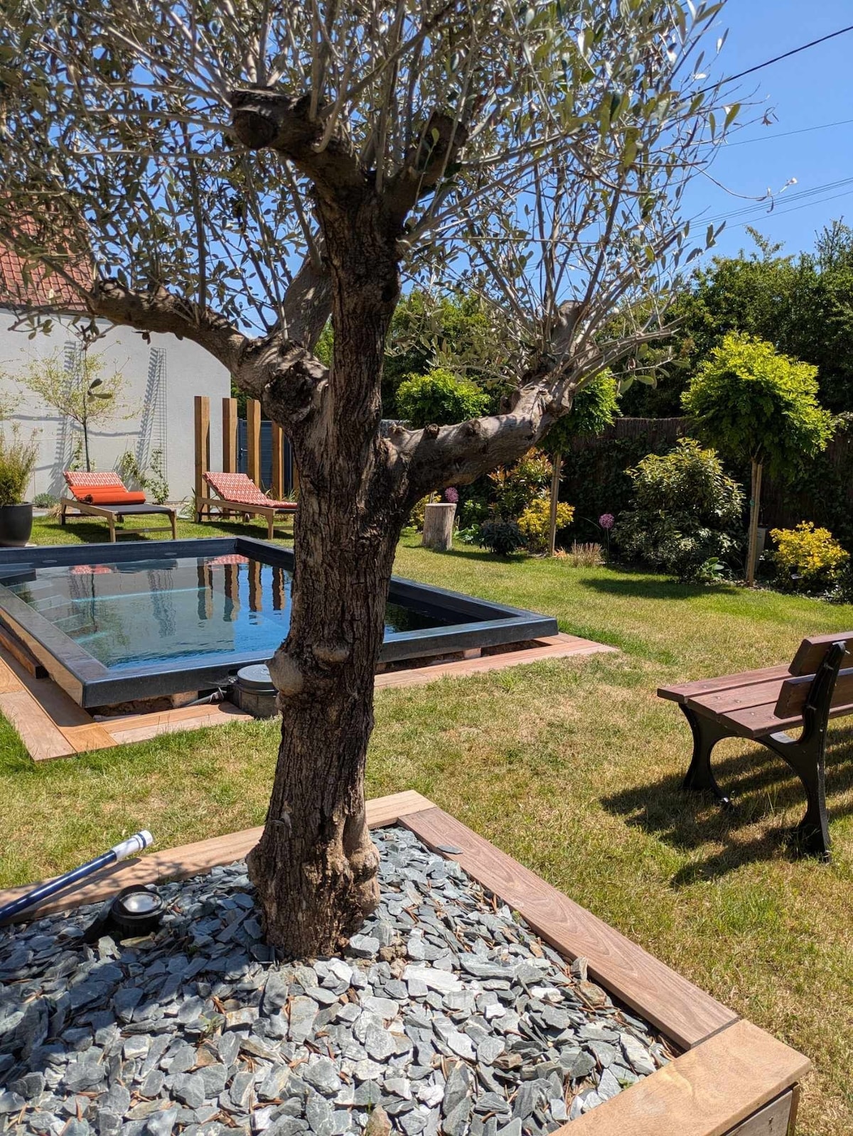 A tranquil garden setting features a well-maintained olive tree at the center, surrounded by slate stones. A rectangular pool is visible in the background, with two lounge chairs positioned nearby. Lush greenery and flowering plants provide a vibrant atmosphere.