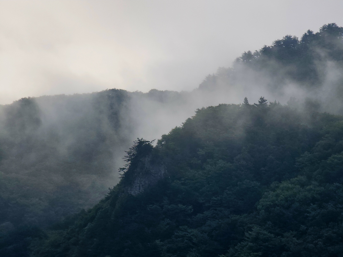 Misty mountains rise in the background, shrouded in low-hanging clouds. Lush greenery adorns the slopes, creating a serene atmosphere. The varying shades of green are complemented by the soft gray of the fog, adding depth to the natural landscape.