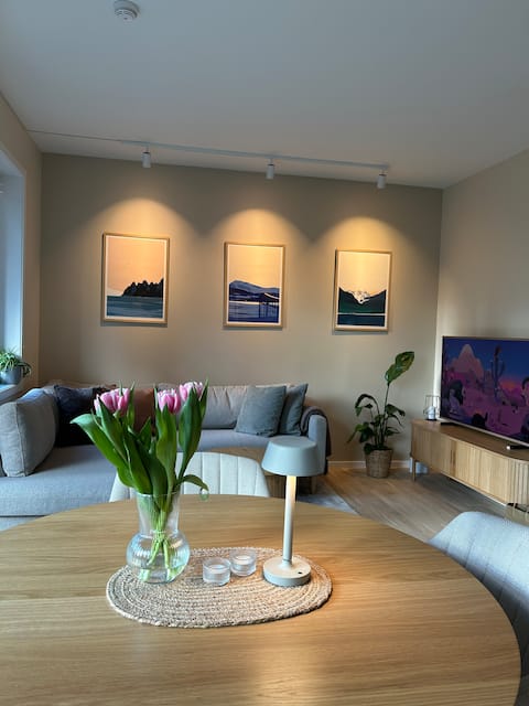 Top performing Airbnb: Brand new apartment with indoor garage! in Østensjø