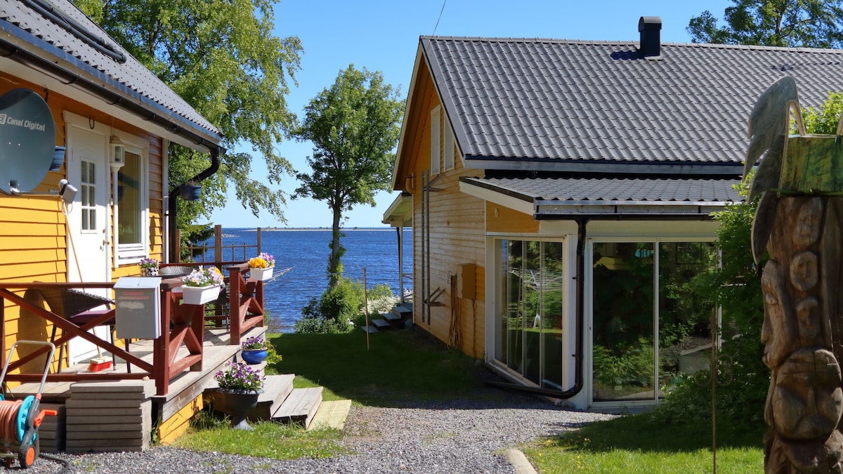 A serene outdoor setting features two charming houses, surrounded by greenery and a view of the tranquil water. The wooden structures are complemented by potted plants and a light gravel pathway leading towards the water's edge.