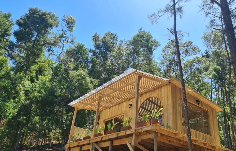 Hidden Leaf, a cabin in the forest, Wilderness, Western Cape, South Africa, photo 8 of 10