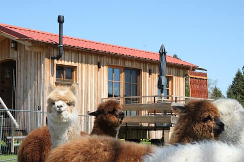 AlpakaAlm im Allgäu