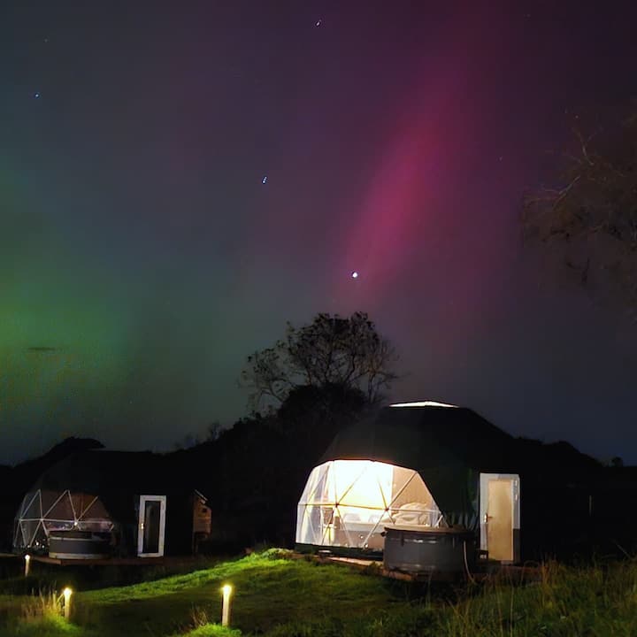 Geodesic Dome -Bellatrix - Harrogate