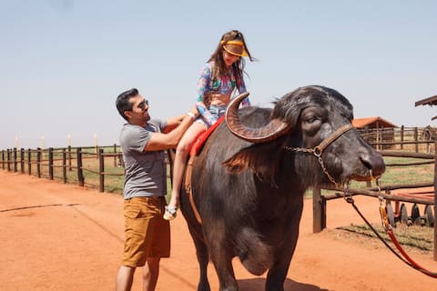 Apartment for up to 7 people