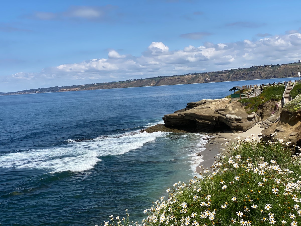 The ocean is seen gently lapping against rocky shores, with vibrant wildflowers in the foreground. A coastal path leads up to a lookout point, framed by green hills in the distance under a clear blue sky.