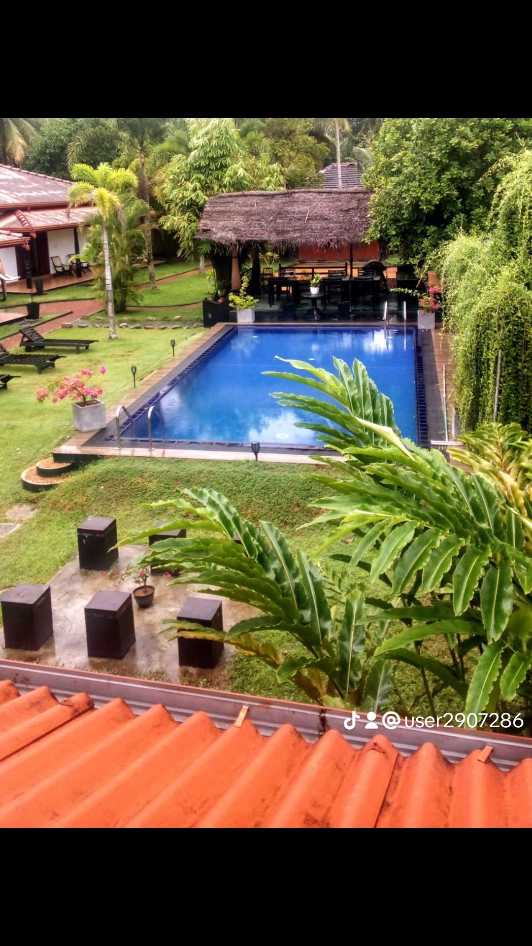 A serene outdoor area features a clear swimming pool surrounded by lush greenery. Several lounge chairs are arranged around the pool, while a thatched-roof structure is visible in the background, providing shaded seating. The landscape is complemented by colorful flowers and tropical plants.